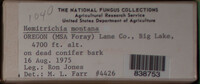 Image Associated With the Occurence